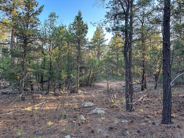 120 Skyland Blvd, Tijeras, NM 87059 - photo 10