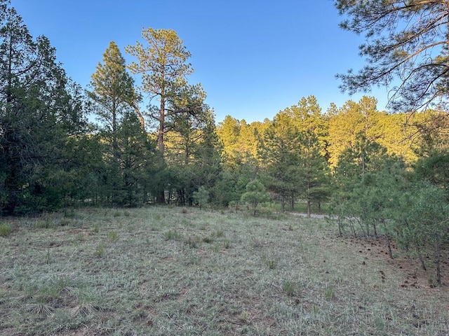 120 Skyland Blvd, Tijeras, NM 87059 - photo 5