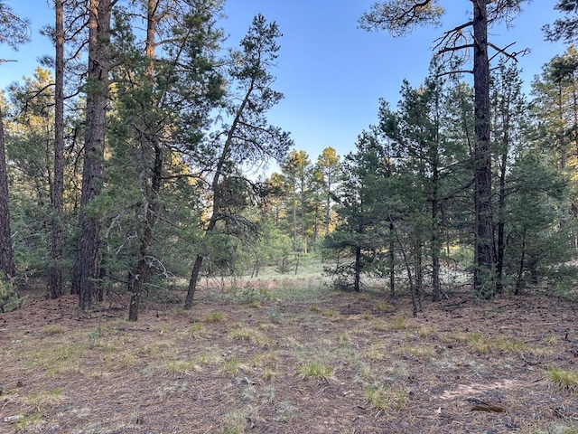 120 Skyland Blvd, Tijeras, NM 87059 - photo 1