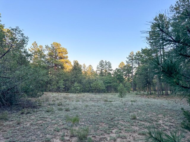 120 Skyland Blvd, Tijeras, NM 87059 - photo 29
