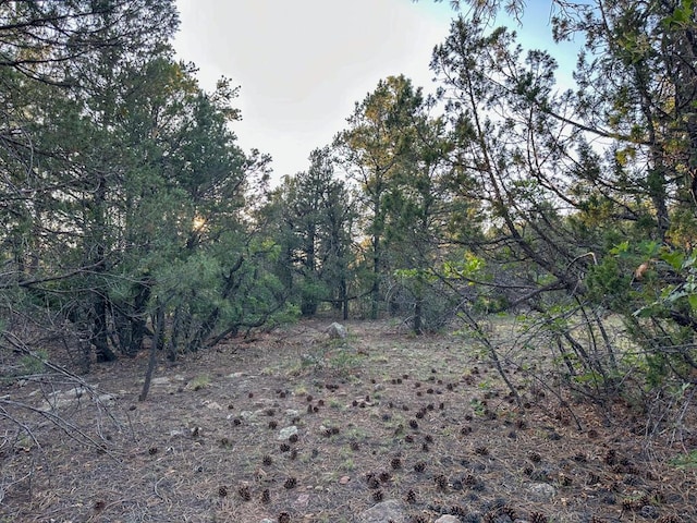 120 Skyland Blvd, Tijeras, NM 87059 - photo 26