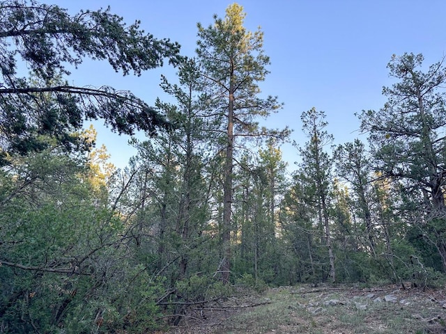 120 Skyland Blvd, Tijeras, NM 87059 - photo 22