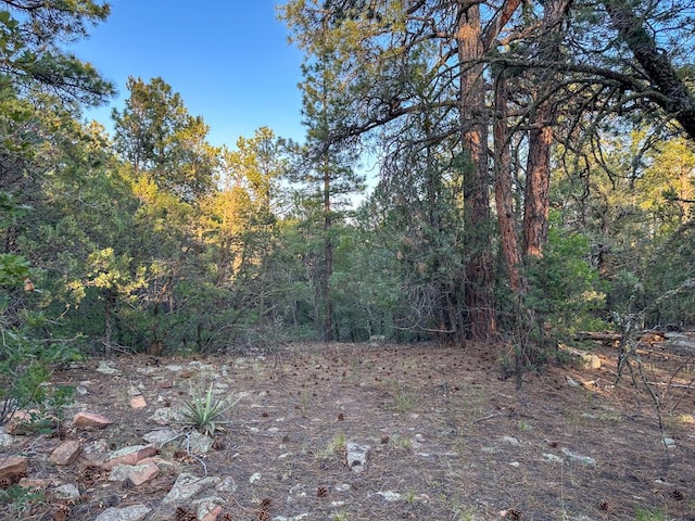 120 Skyland Blvd, Tijeras, NM 87059 - photo 14
