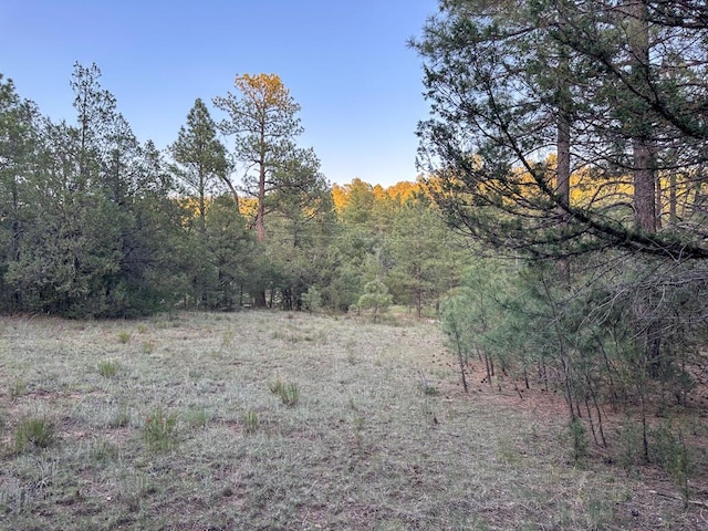120 Skyland Blvd, Tijeras, NM 87059 - photo 13