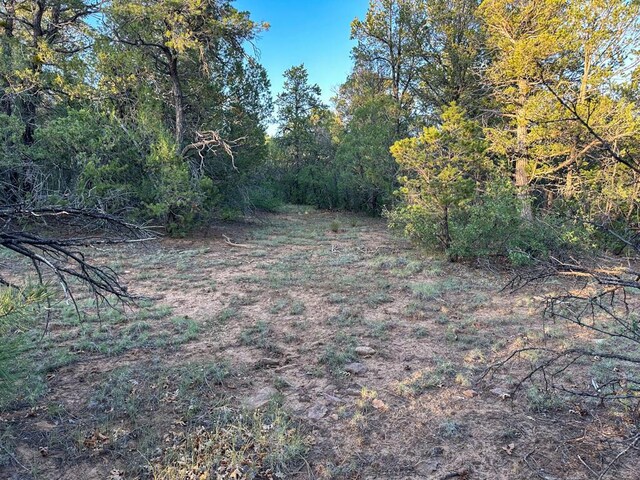 120 Skyland Blvd, Tijeras, NM 87059 - photo 11