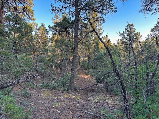 120 Skyland Blvd, Tijeras, NM 87059 - photo 31