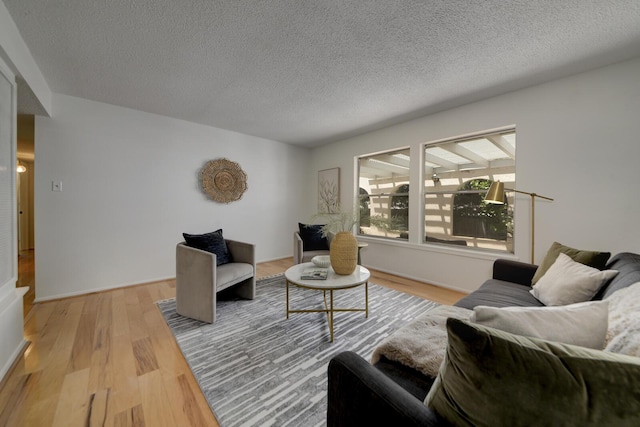 1733 Luthy Dr NE, Albuquerque, NM 87112 - living room featuring light wood-style floors and a textured ceiling