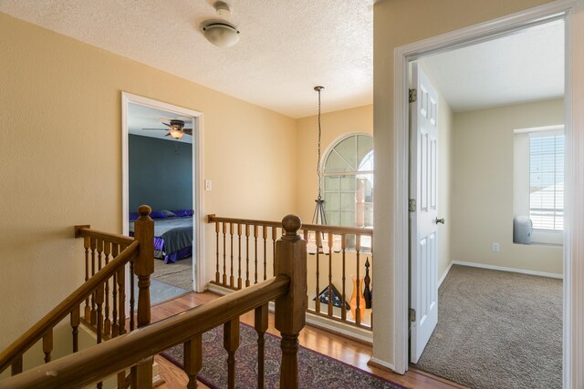 1897 Raspberry Ct NE, Rio Rancho, NM 87144 - photo 11