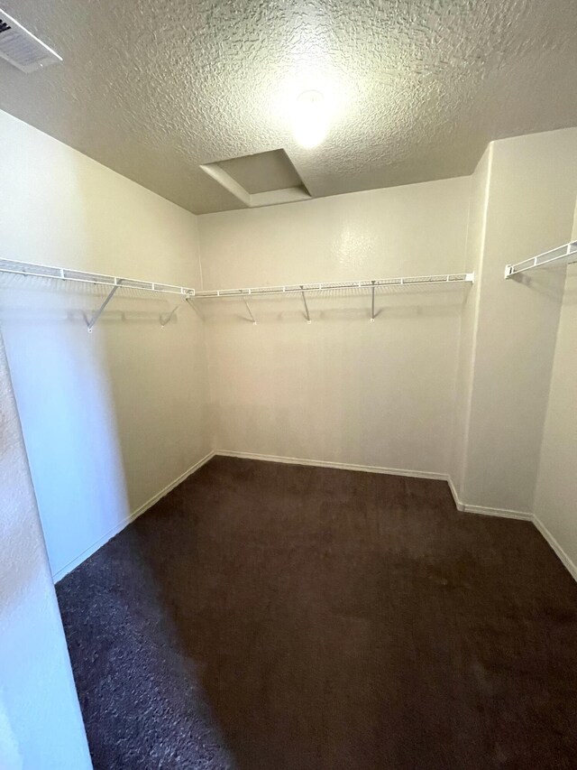 10608 Buck Island Rd SW, Albuquerque, NM 87121 - spacious closet with dark carpet