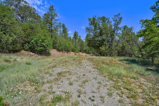 146 Skyland Blvd, Tijeras, NM 87059