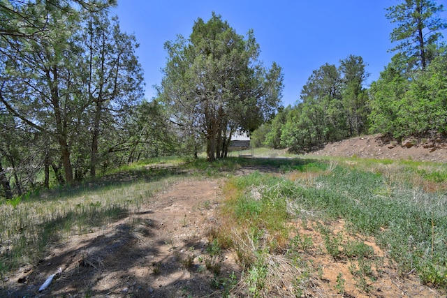 146 Skyland Blvd, Tijeras, NM 87059