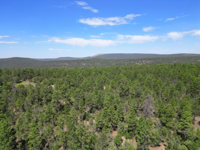 146 Skyland Blvd, Tijeras, NM 87059