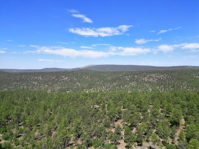 146 Skyland Blvd, Tijeras, NM 87059
