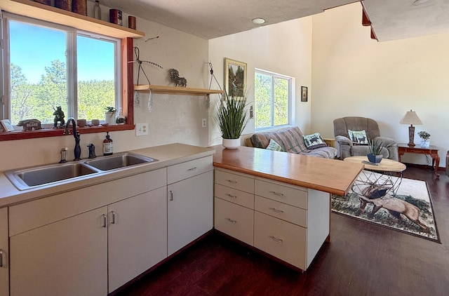 162 Black Bear Rd, Ramah, NM 87321 - kitchen featuring a peninsula, dark wood-style flooring, light countertops, white cabinets, and open floor plan
