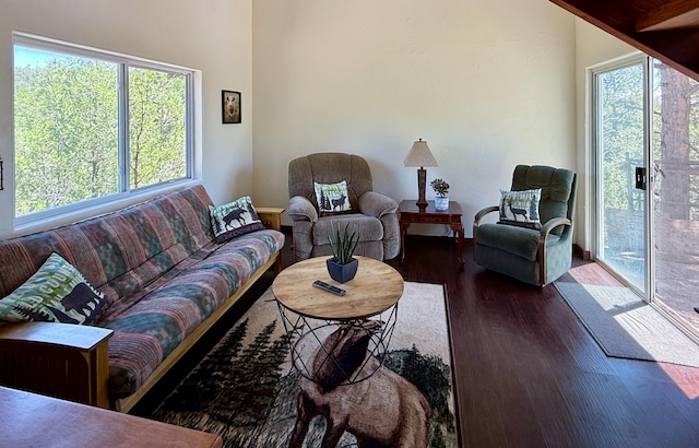 162 Black Bear Rd, Ramah, NM 87321 - living room with wood finished floors
