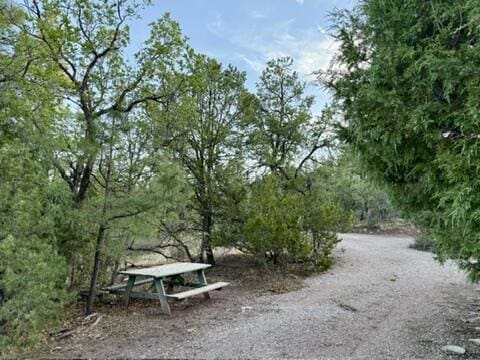 162 Black Bear Rd, Ramah, NM 87321 - view of home's community