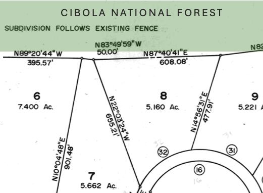 162 Black Bear Rd, Ramah, NM 87321 - map showing property parcels