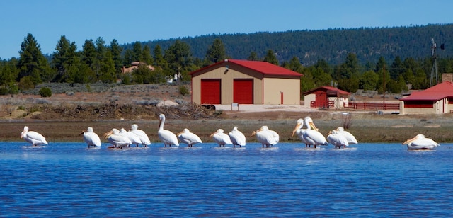 162 Black Bear Rd, Ramah, NM 87321 - water view featuring a heavily wooded area