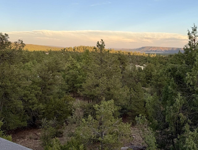 162 Black Bear Rd, Ramah, NM 87321 - mountain view featuring a forest