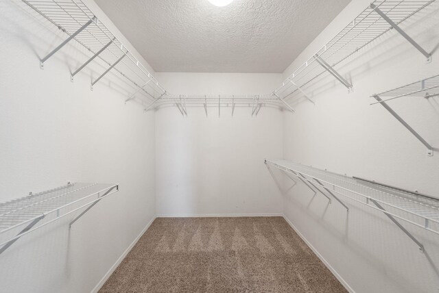 10904 Snowbird Dr, Albuquerque, NM 87114 - photo 30