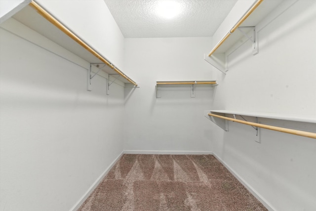 3209 Walsh Loop SE, Rio Rancho, NM 87124 - photo 38