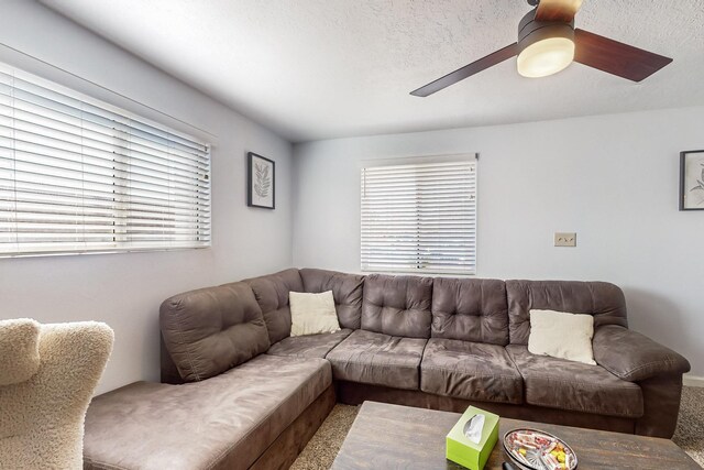 1416 55th St NW, Albuquerque, NM 87105 - photo 12