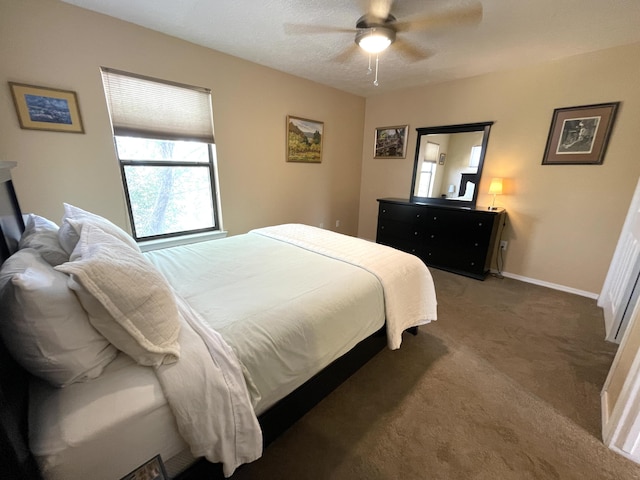 2108 Navajo Willow Dr NE, Albuquerque, NM 87122 - photo 43