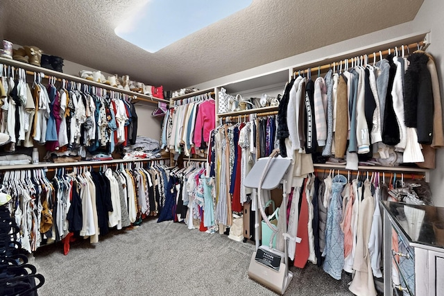 4420 Bentgrass Mdws NE, Rio Rancho, NM 87144 - spacious closet featuring carpet