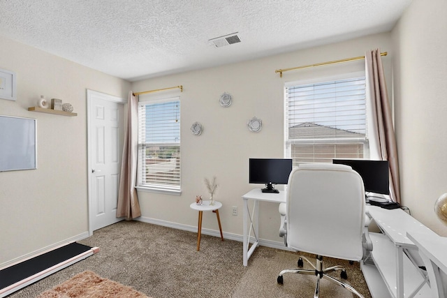4420 Bentgrass Mdws NE, Rio Rancho, NM 87144 - carpeted office space with a textured ceiling
