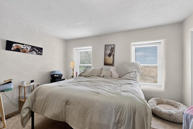 20 Ricardo Rd, Belen, NM 87002 - photo 23