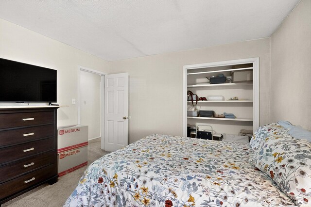 20 Ricardo Rd, Belen, NM 87002 - photo 31
