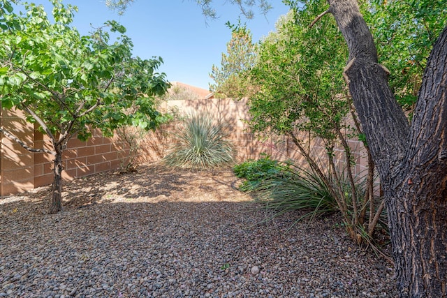 851 Vista Patron Dr, Bernalillo, NM 87004 - view of yard