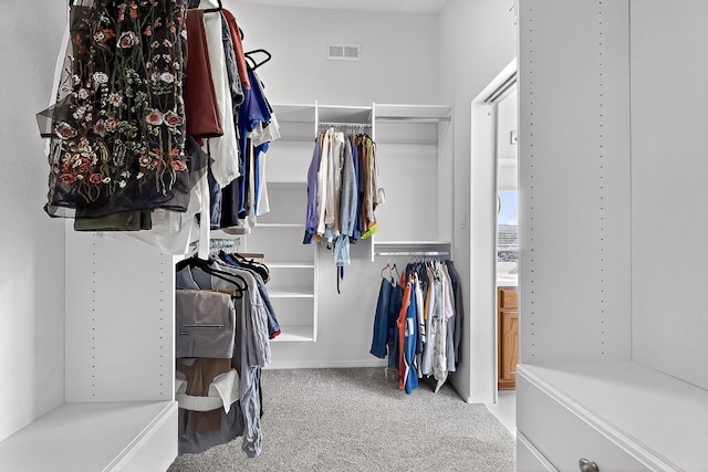 8905 Balsam Glade Rd NW, Albuquerque, NM 87114 - walk in closet with carpet