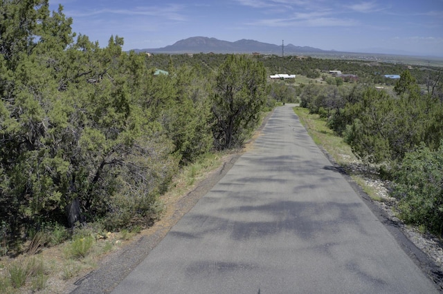 8 Lomas Ct, Edgewood, NM 87015 - photo 10