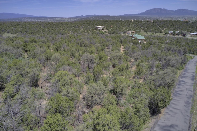 8 Lomas Ct, Edgewood, NM 87015 - photo 9