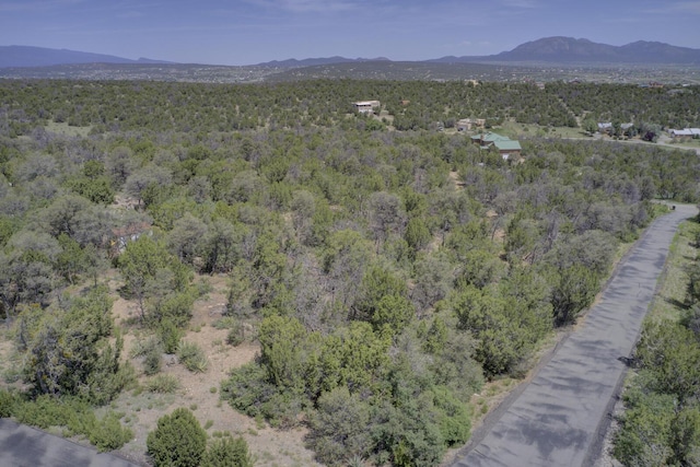 8 Lomas Ct, Edgewood, NM 87015 - photo 7