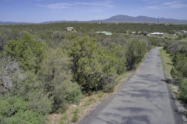 8 Lomas Ct, Edgewood, NM 87015 - photo 6