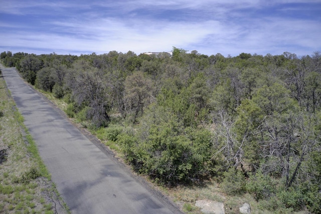 8 Lomas Ct, Edgewood, NM 87015 - photo 5