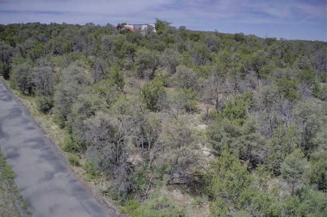 8 Lomas Ct, Edgewood, NM 87015 - photo 4