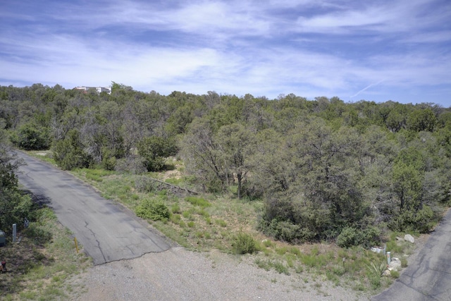 8 Lomas Ct, Edgewood, NM 87015 - photo 16