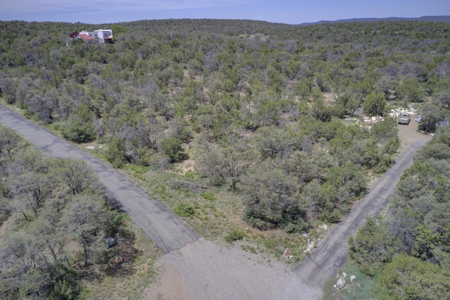 8 Lomas Ct, Edgewood, NM 87015 - photo 15