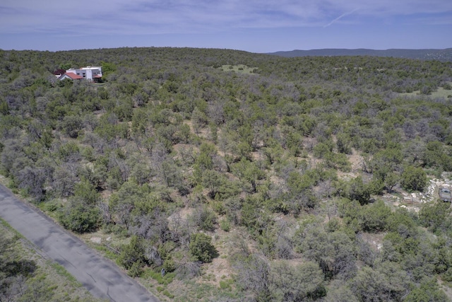 8 Lomas Ct, Edgewood, NM 87015 - photo 14