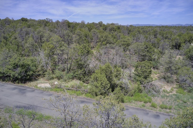 8 Lomas Ct, Edgewood, NM 87015 - photo 13