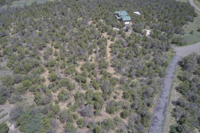 8 Lomas Ct, Edgewood, NM 87015 - photo 12