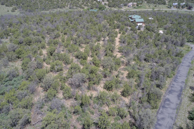8 Lomas Ct, Edgewood, NM 87015 - photo 11