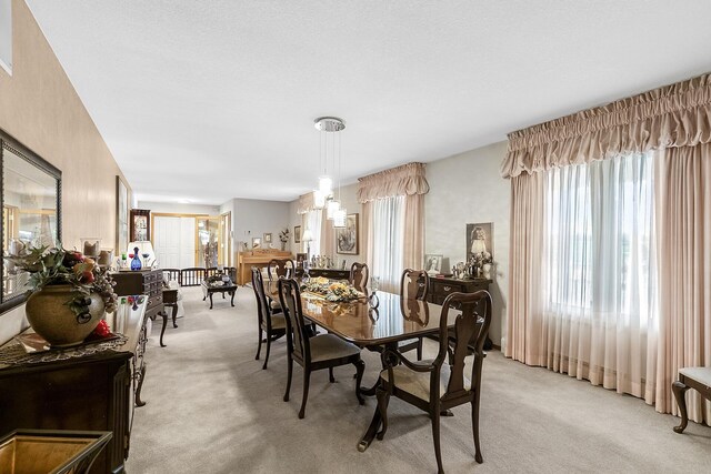 40 La Bajada Rd, Los Lunas, NM 87031 - dining area with light colored carpet and plenty of natural light