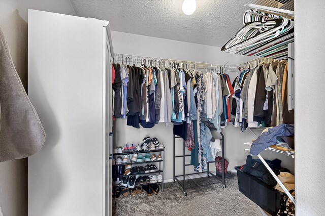 10501 Trieste Ct NW, Albuquerque, NM 87114 - photo 9