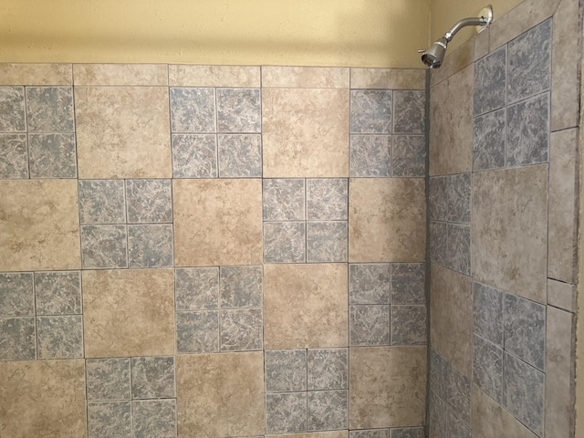 4 Los Chavez Park Rd, Belen, NM 87002 - bathroom view of tiled shower