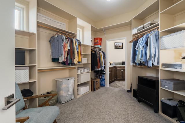 24 Norte Trl, Placitas, NM 87043 - spacious closet featuring carpet floors