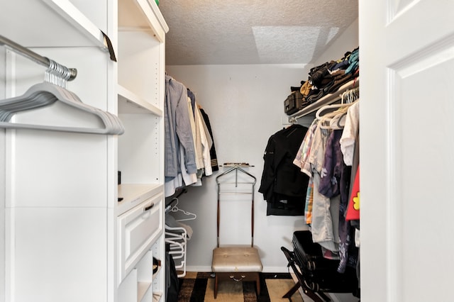 4801 Irving Blvd NW Unit 304, Albuquerque, NM 87114 - view of walk in closet